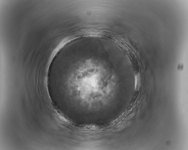 X0000099310195200805161421