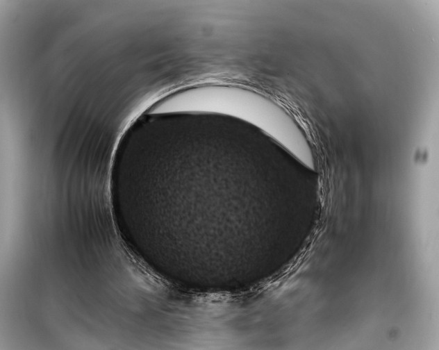 X0000099310196200805161421