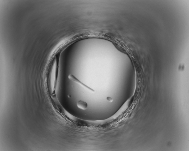 X0000099310197200805161421