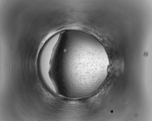 X0000099310200200805161421