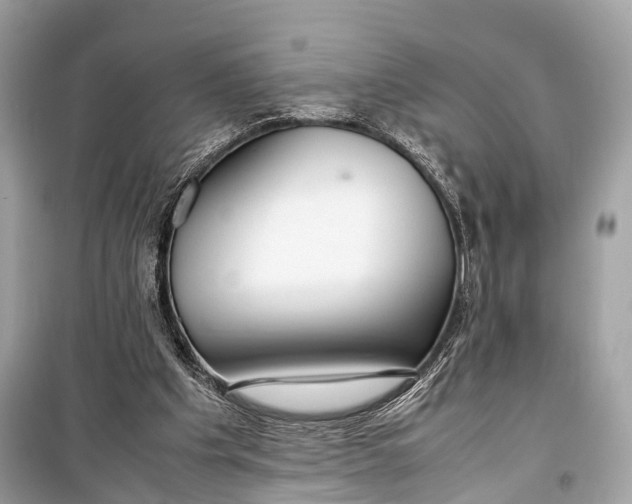 X0000099310201200805161421