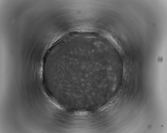 X0000099310202200805161421