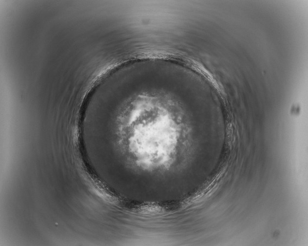 X0000099310203200805161421