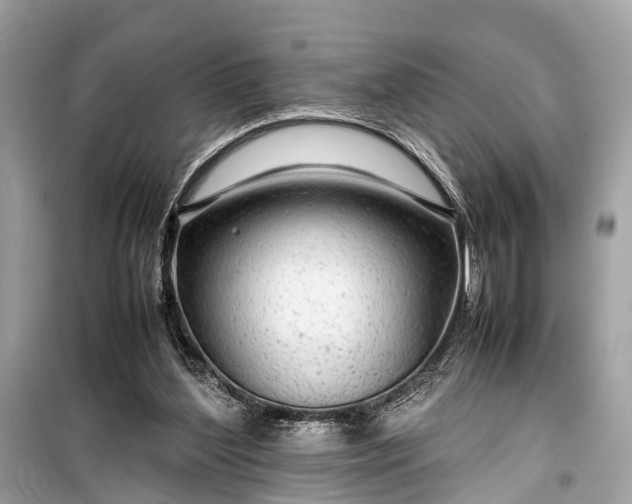 X0000099310204200805161421