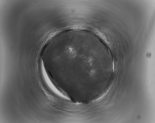 X0000099310205200805161421