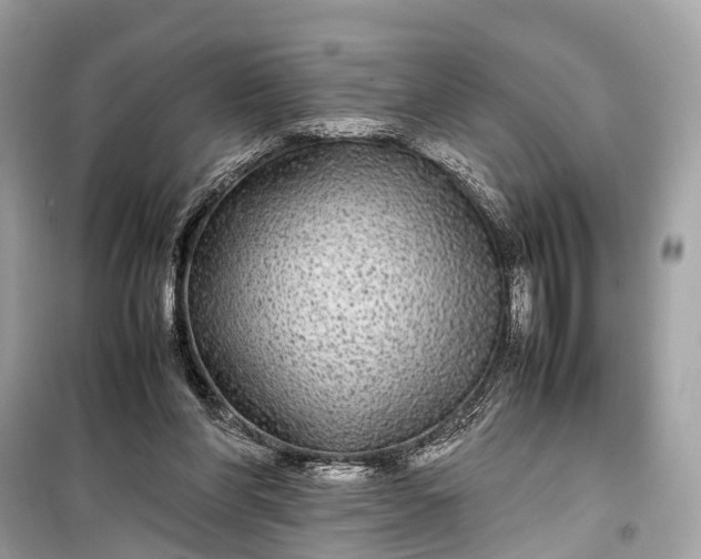 X0000099310206200805161421