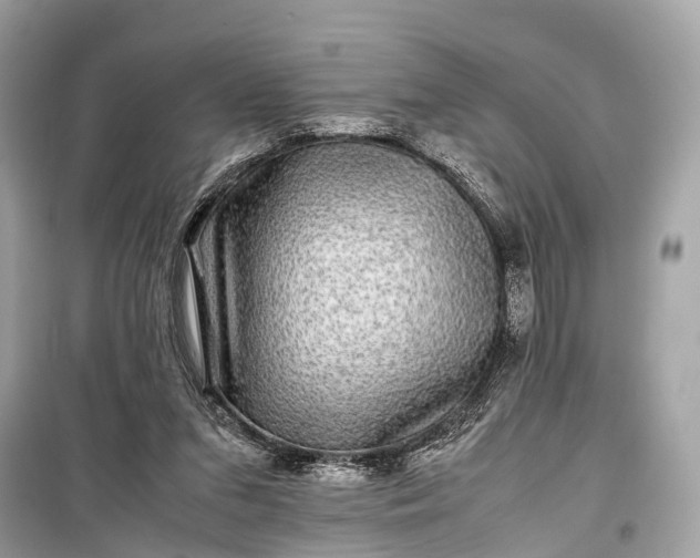 X0000099310207200805161421