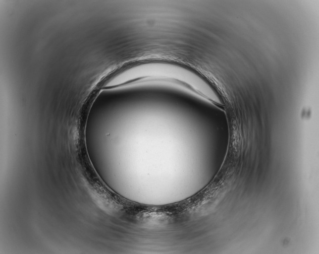 X0000099310208200805161421