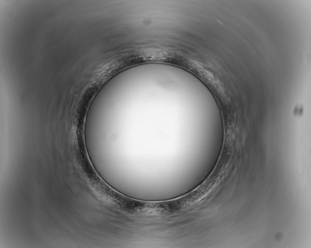 X0000099310209200805161421