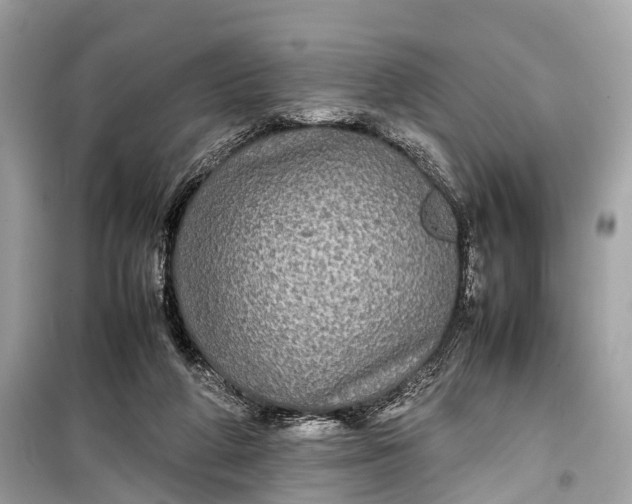 X0000099310210200805161421