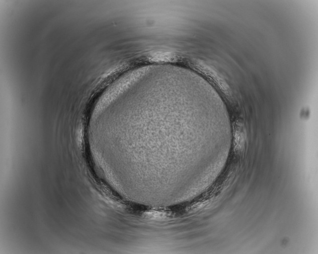 X0000099310211200805161421