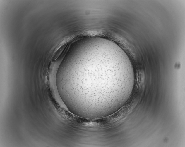 X0000099310212200805161421