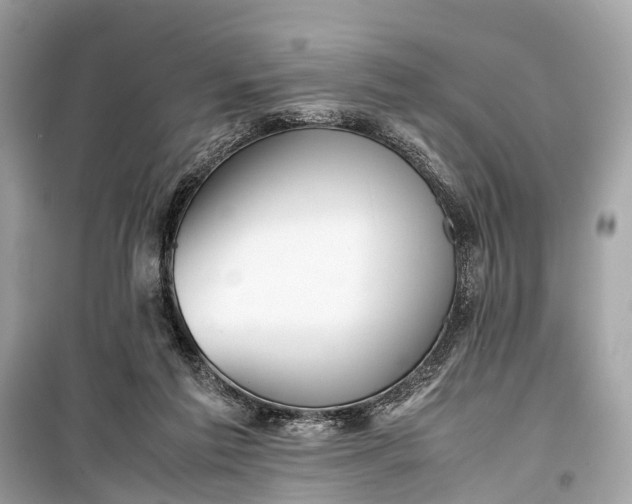 X0000099310213200805161421