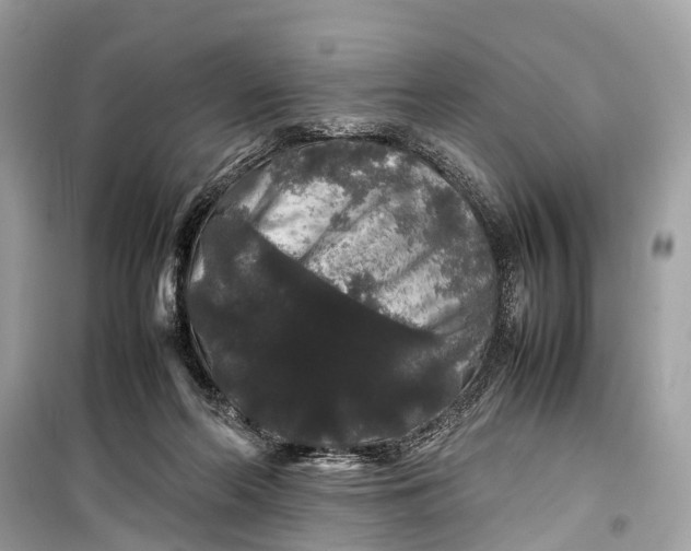 X0000099310214200805161421