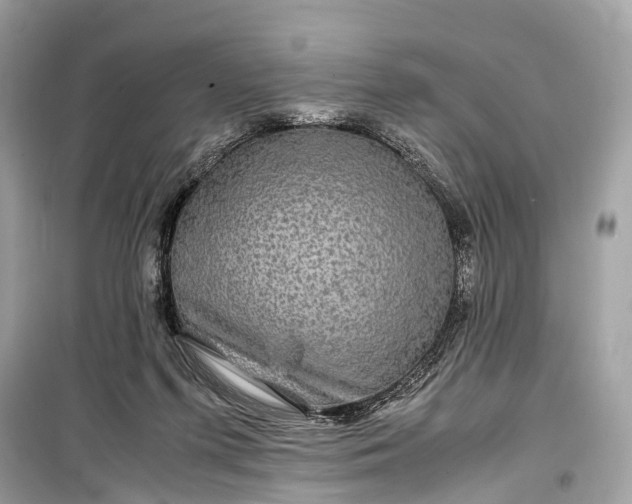 X0000099310215200805161421