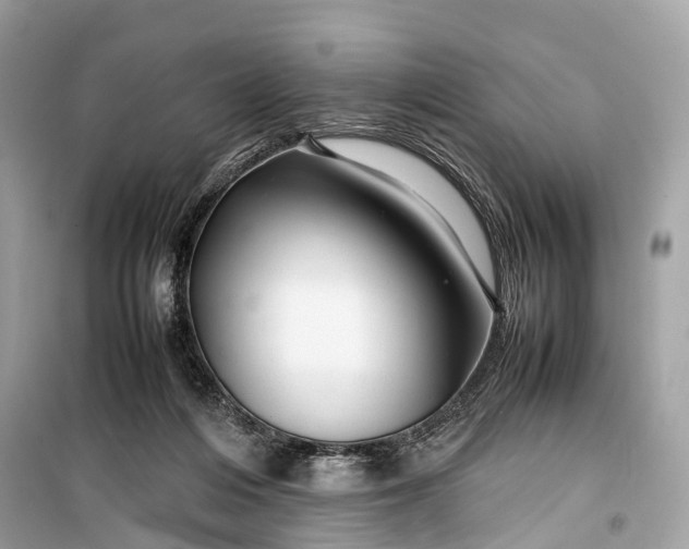 X0000099310216200805161420