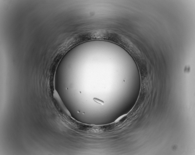 X0000099310217200805161420