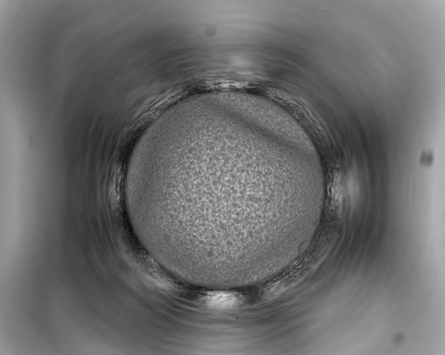 X0000099310218200805161420