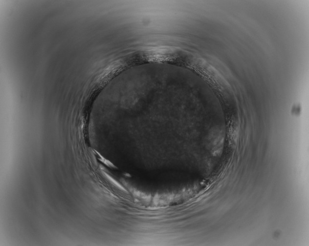 X0000099310219200805161420