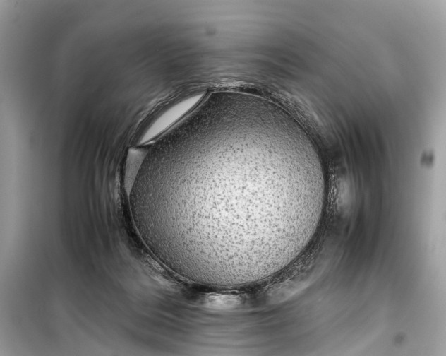 X0000099310220200805161420