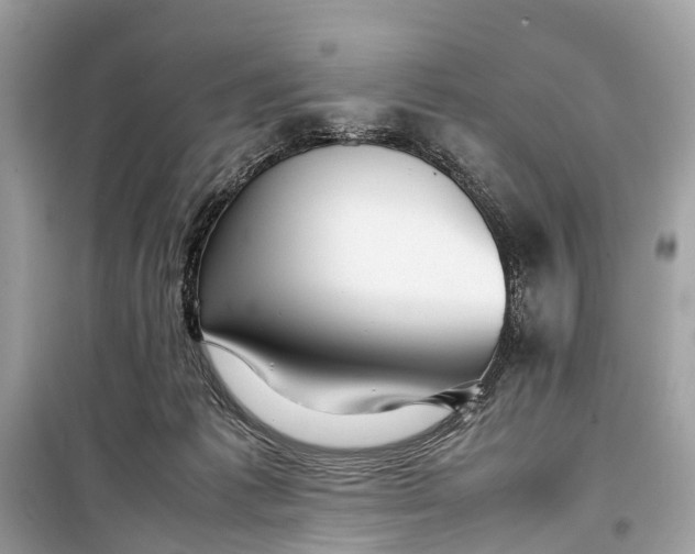 X0000099310221200805161420