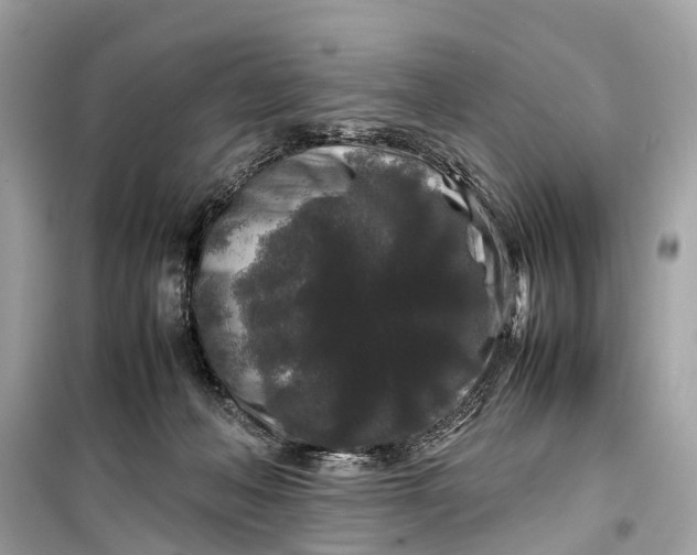 X0000099310222200805161420