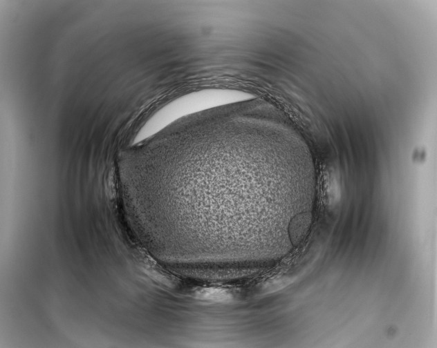 X0000099310224200805161420