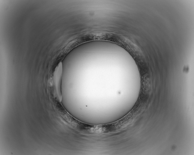 X0000099310225200805161420