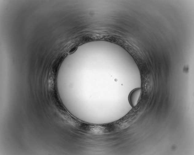 X0000099310226200805161420