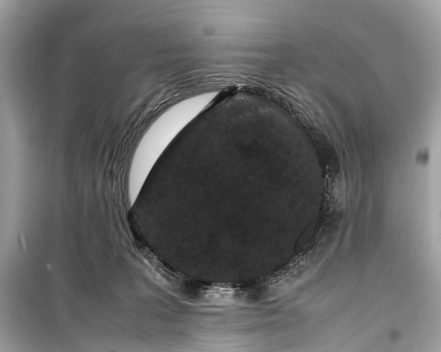 X0000099310227200805161420