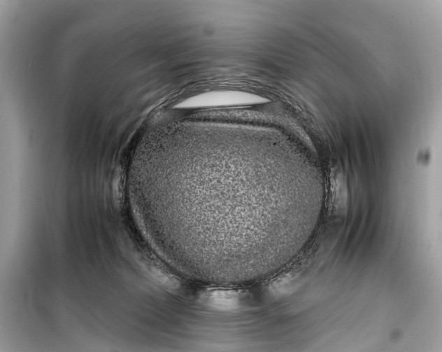 X0000099310228200805161420