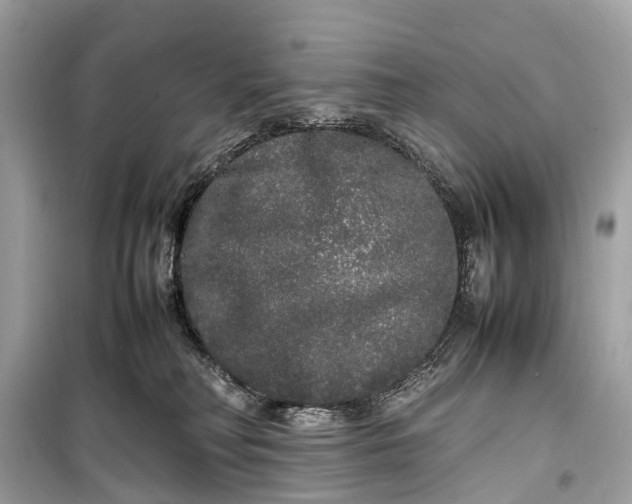 X0000099310230200805161420