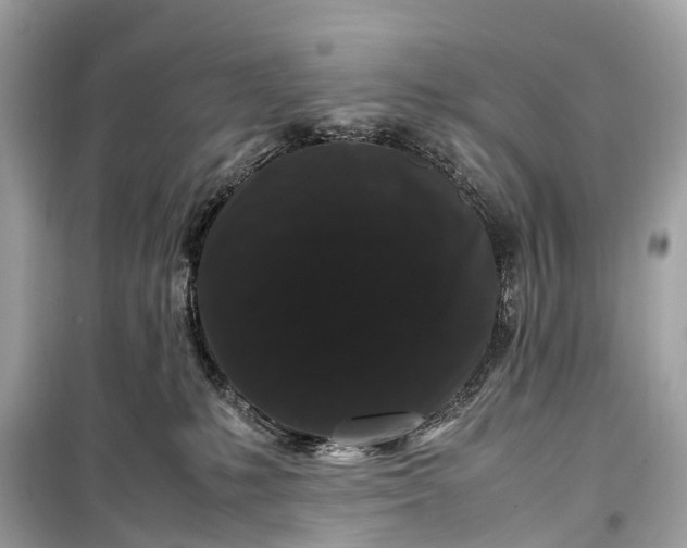 X0000099310231200805161420