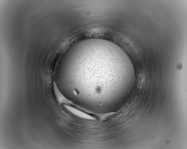 X0000099310232200805161420