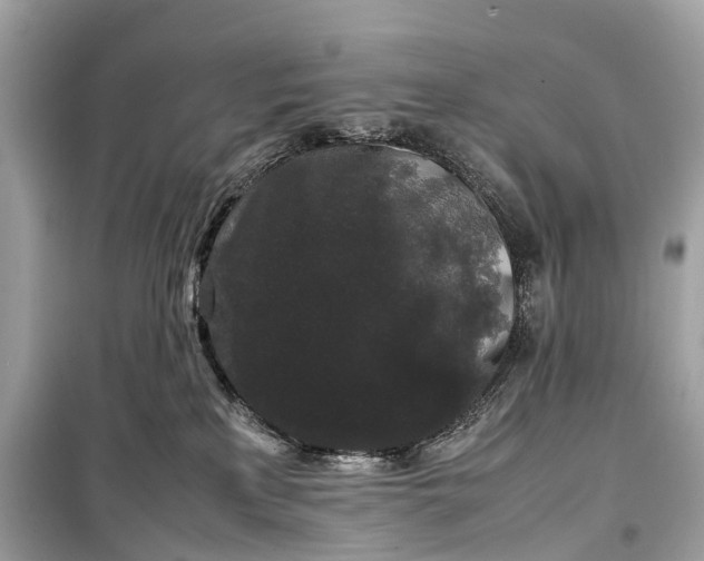 X0000099310233200805161420