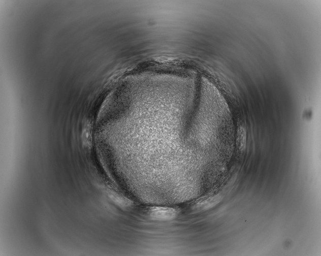 X0000099310234200805161420