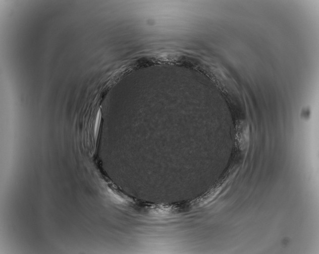 X0000099310235200805161420