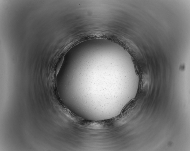 X0000099310236200805161420