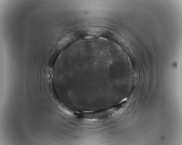 X0000099310237200805161420