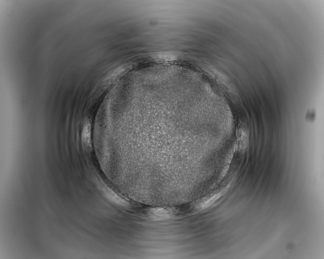 X0000099310238200805161420