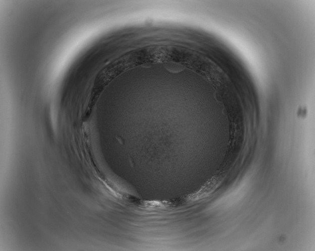 X0000099310239200805161420