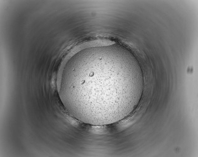 X0000099310240200805161420