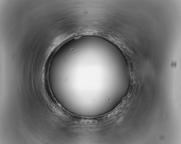 X0000099310242200805161419