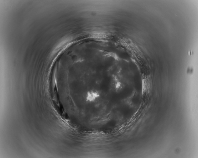 X0000099310243200805161419