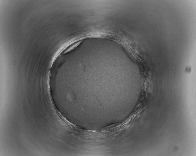 X0000099310244200805161419