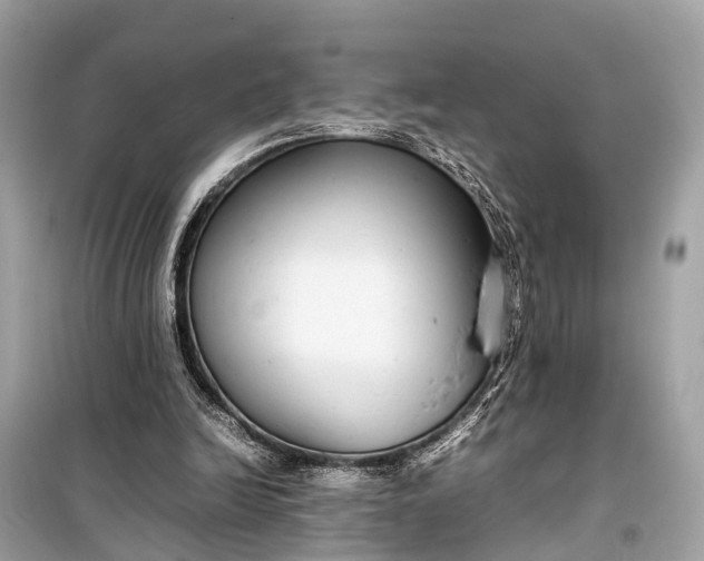 X0000099310246200805161419