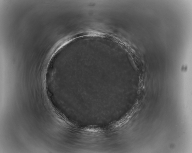 X0000099310247200805161419