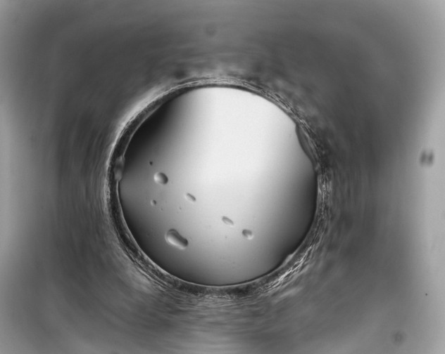 X0000099310248200805161420