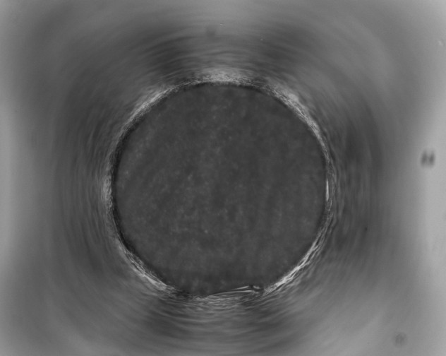 X0000099310249200805161420