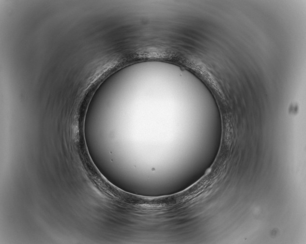 X0000099310251200805161420